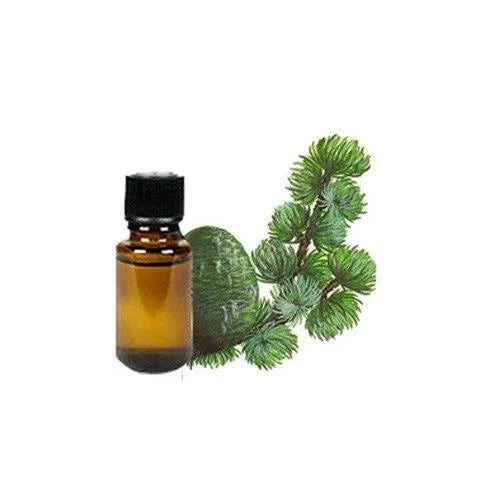 CHAMPU DETOX HIDRATANTE 100ML